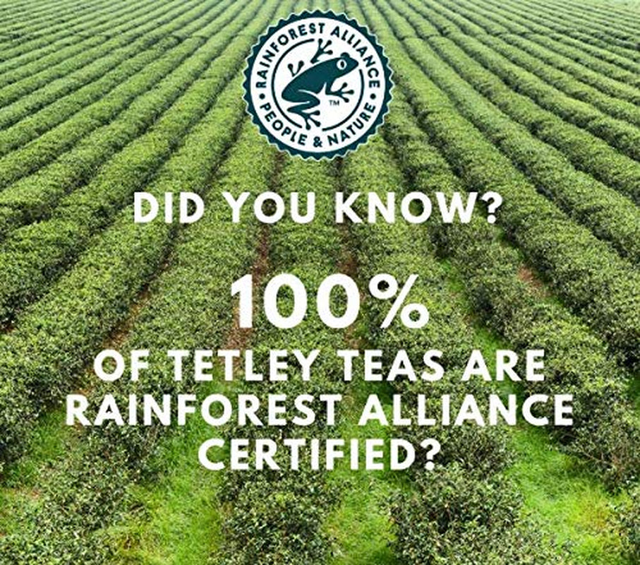 British Blend Premium Decaf Black Tea, Decaffeinated Tea, 40 Teabags (Pack of 6), Rainforest Alliance Certified