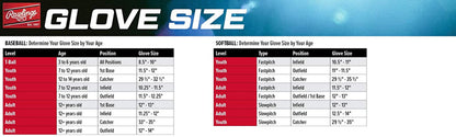 | Players Series T-Ball & Youth Baseball Glove | Multiple Styles